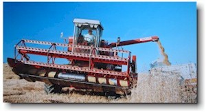Il Grano viene scaricato per mezzo di un braccio con coclia